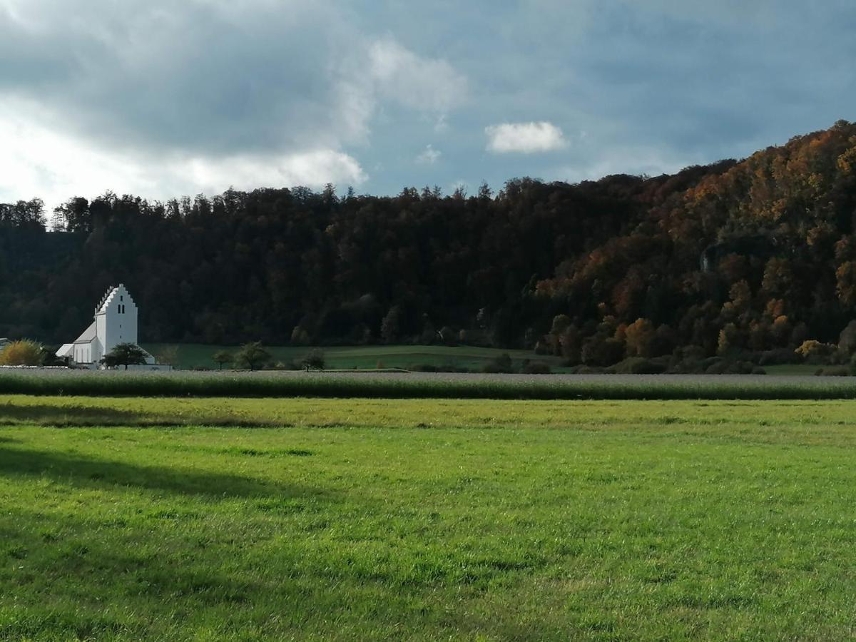 Roemercastell Wirtshaus & Hotel Bohming Eksteriør bilde
